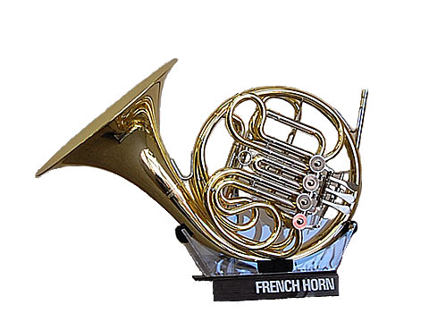 �t�����`�z����