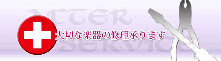 �C�����A�t�^�[�T�[�r�X